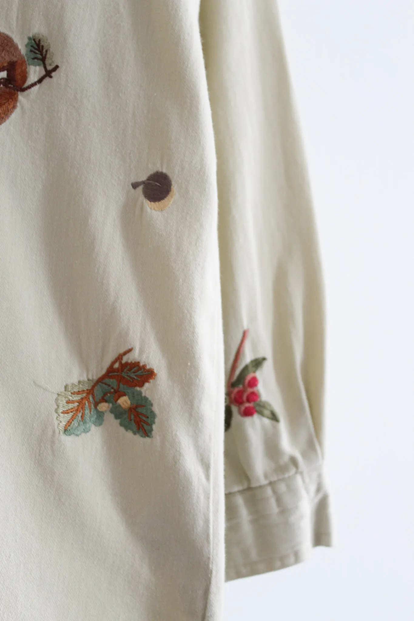 trail guide button up