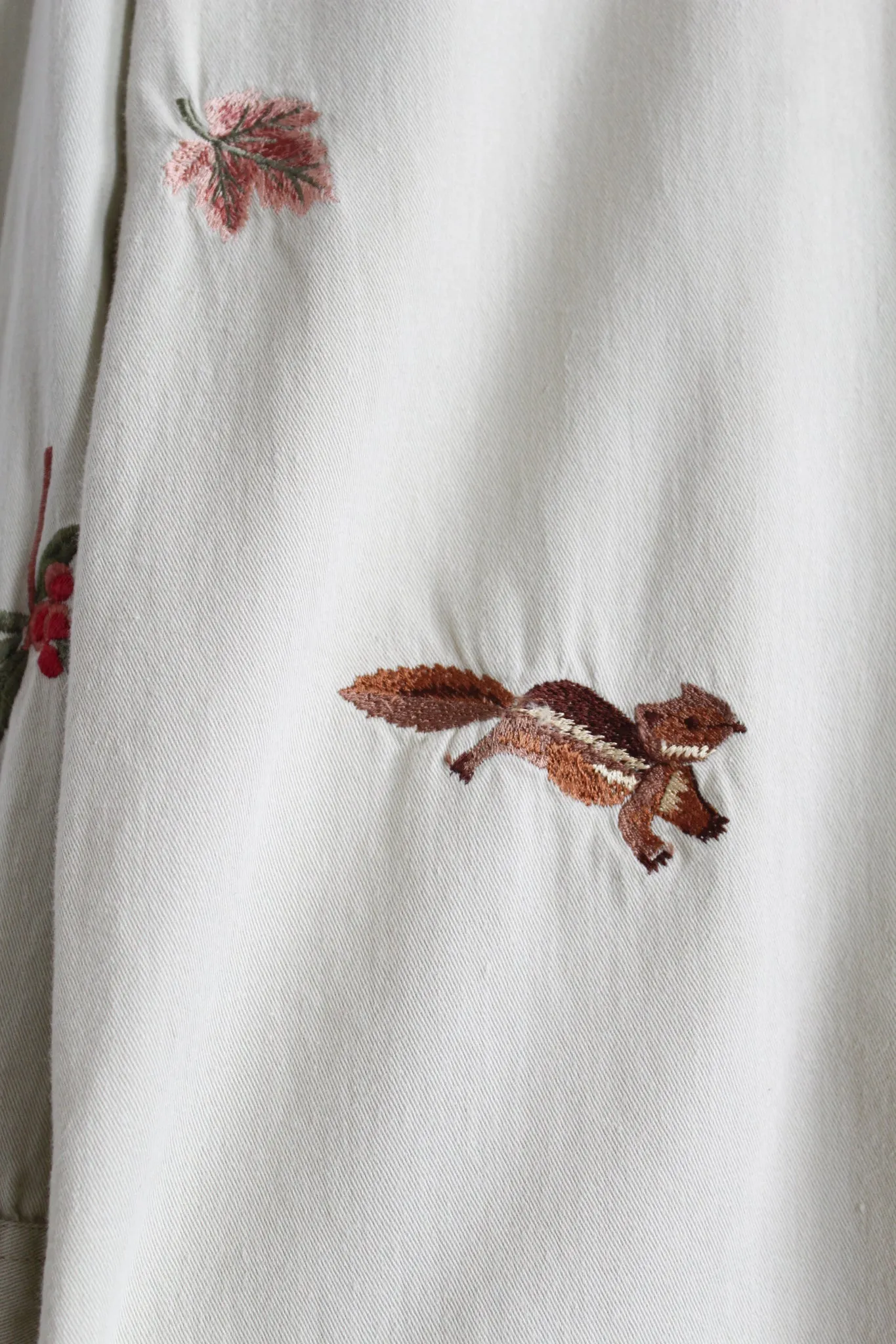 trail guide button up