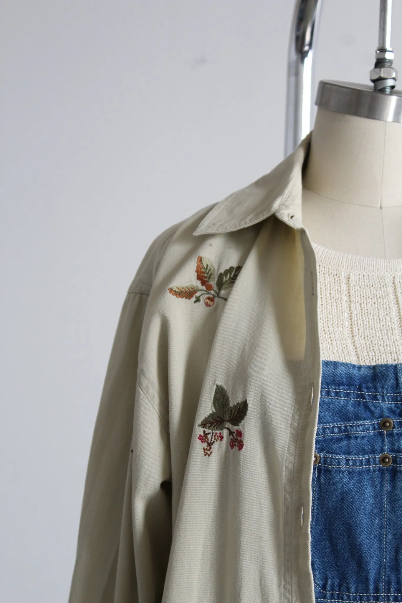 trail guide button up