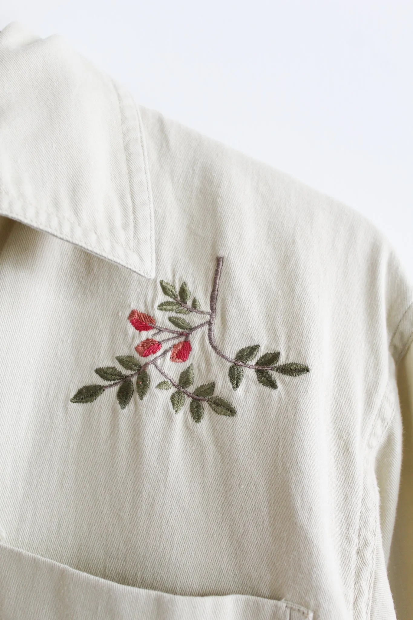 trail guide button up
